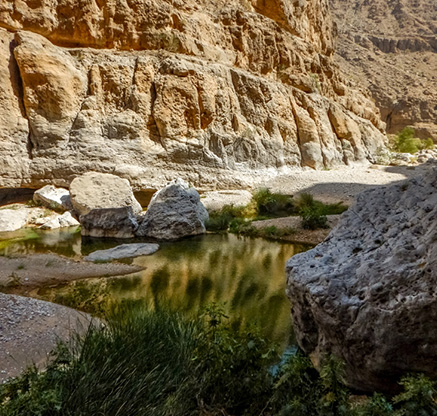 Wadi Hijri